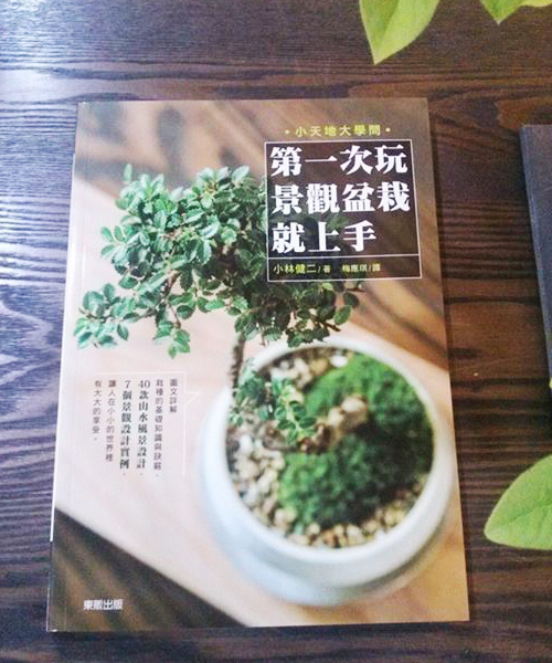 はじめての景色盆栽